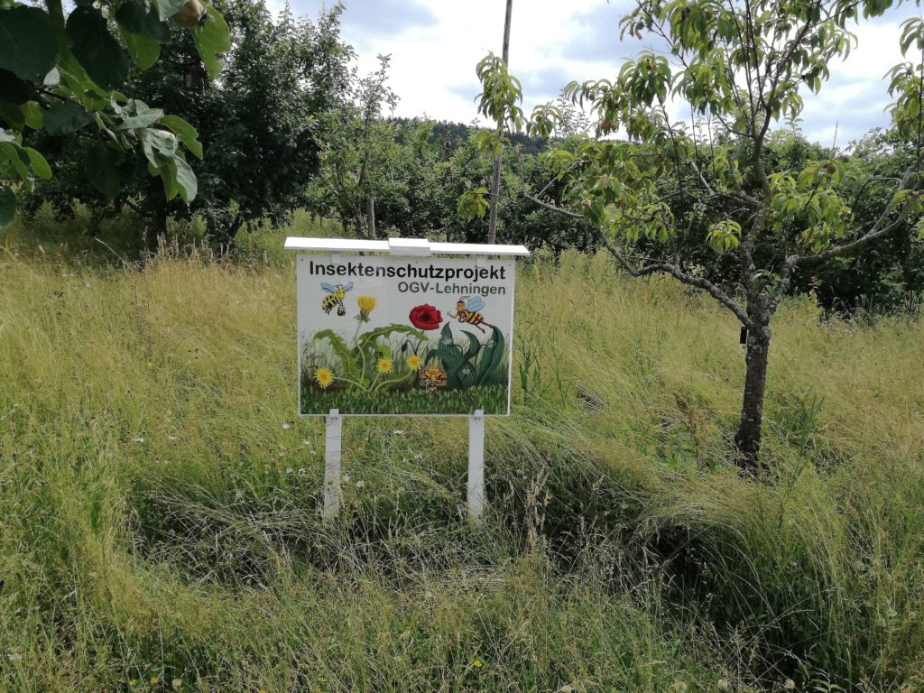 Insektenschutzprojekt 2018_Bild3 Insektenschutzprojekt 2018_Bild3