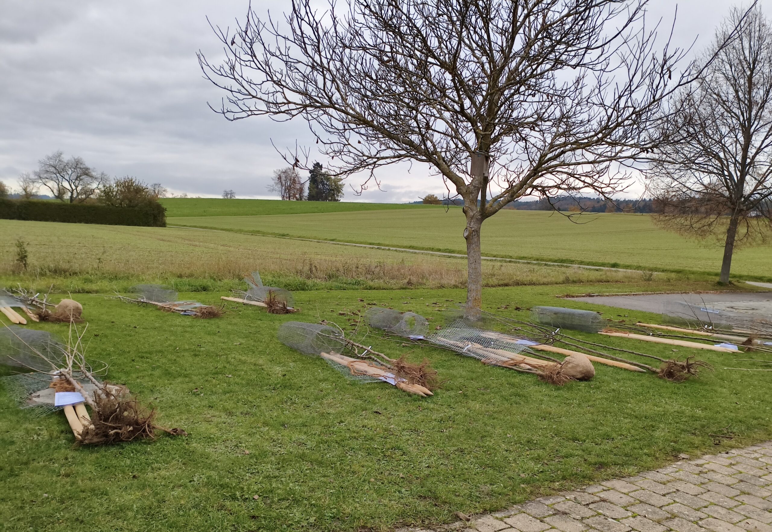 MVIMG_20251108_125741