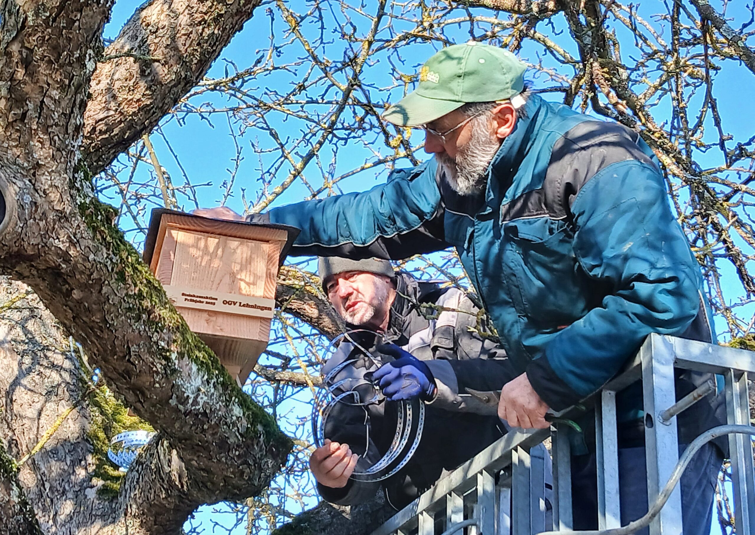 Anbringen_Nistkasten
