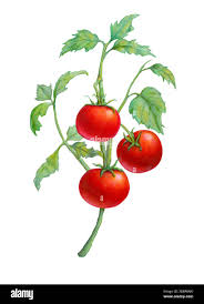 20260428 Regina Bild1